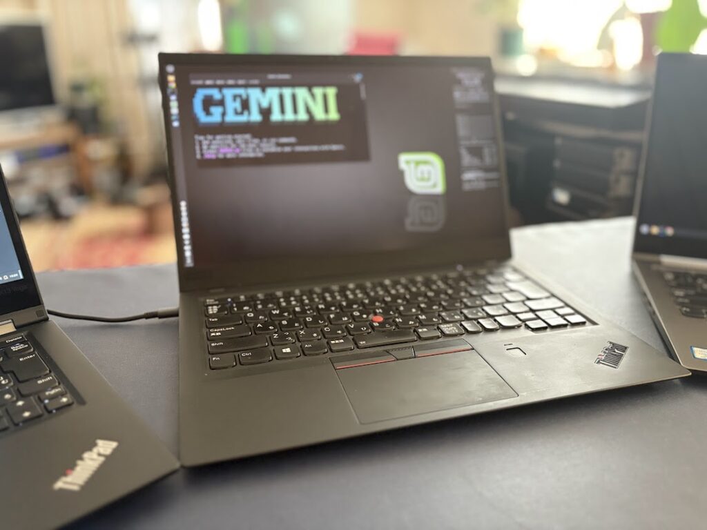 ThinkPad X1 Carbon & Linux Mint